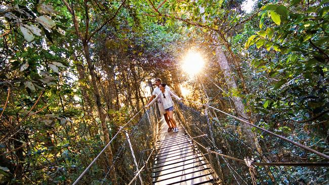 Open to the public, the free Tree Top Walk is an iconic part of O’Reilly’s Rainforest Retreat.