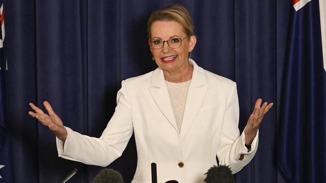 Opposition Leader Sussan Ley in Canberra on Tuesday. Picture: NewsWire / Martin Ollman