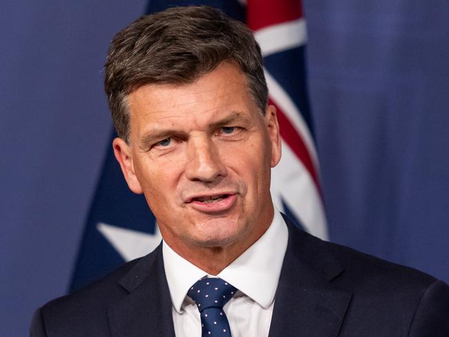 Senator Price will run alongside Angus Taylor. Picture: NewsWire / Monique Harmer