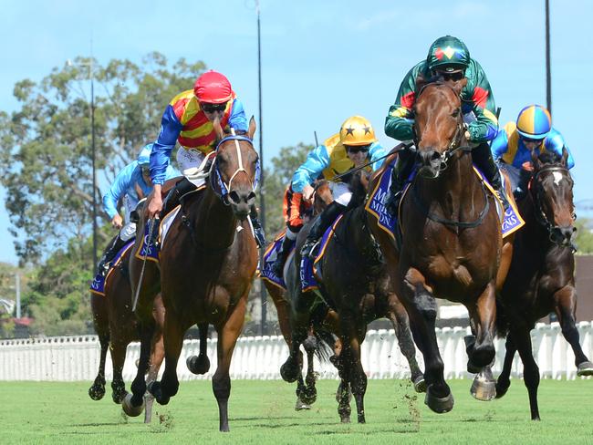 Alligator Blood winning the Vo Rogue Plate at Eagle Farm. Picture: Trackside Photography