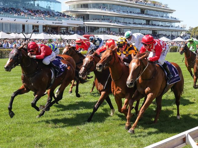 Elliptical ridden by Blake Shinn wins the CS Hayes Stakes at Flemington Racecourse on February 18, 2023 in Flemington, Australia. (Photo by George Sal/Racing Photos via Getty Images)