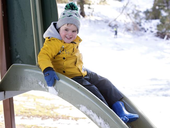 Henry Harding, 3, of Hobart, at Fern Tree. Picture: Chris Kidd