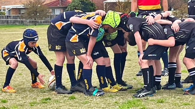 Around 4000 kids enjoyed the minis rugby carnival. Pic: Facebook.