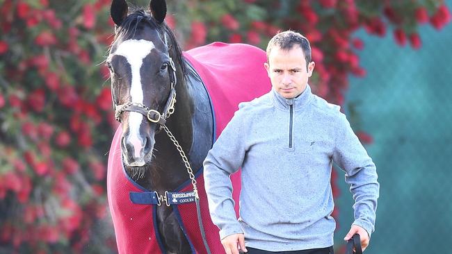 Melbourne Cup favourite Yucatan has firmed even more for the Melbourne Cup. Picture: Getty Images