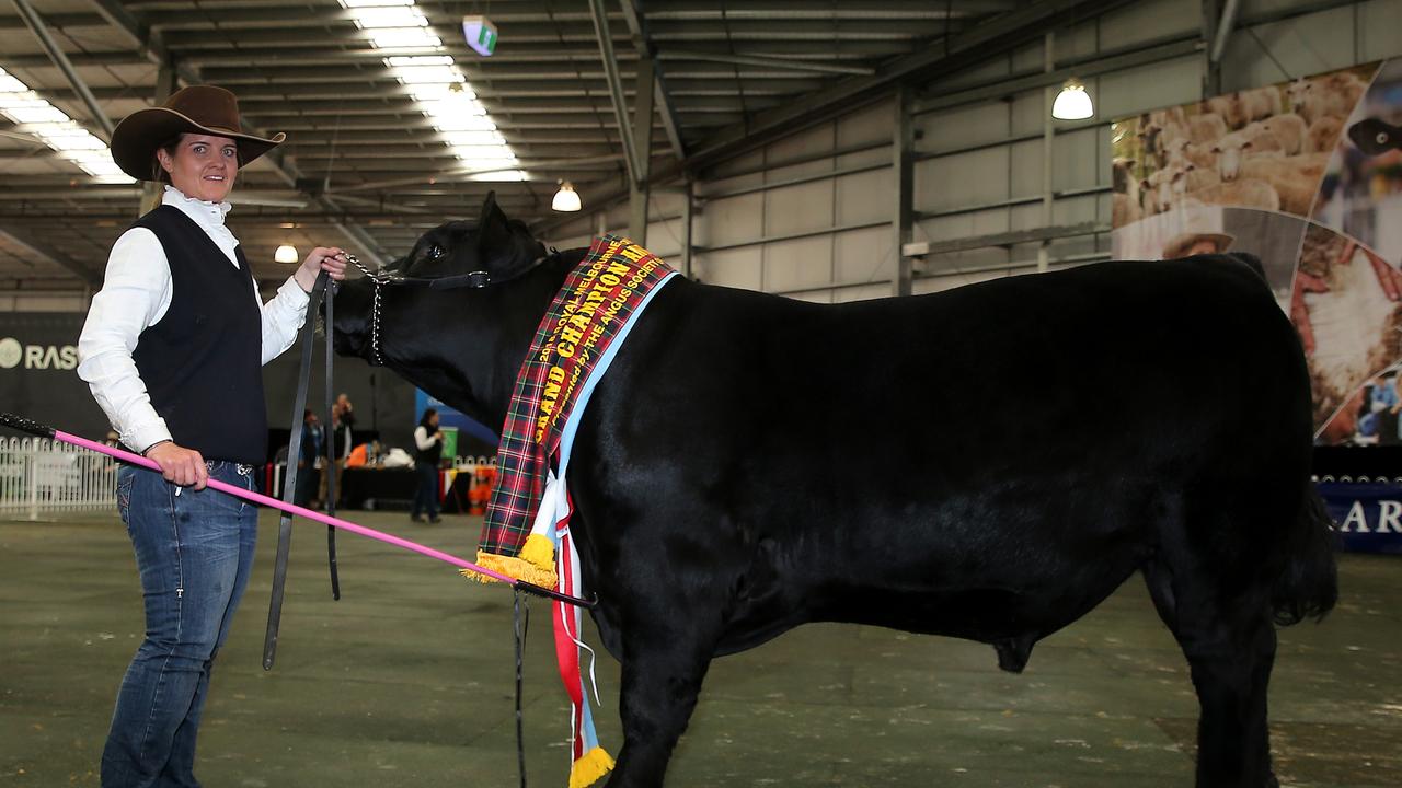 Christie Kennedy and the Grand Champion Angus bull at the Royal Melbourne Show. Picture: Yuri Kouzmin