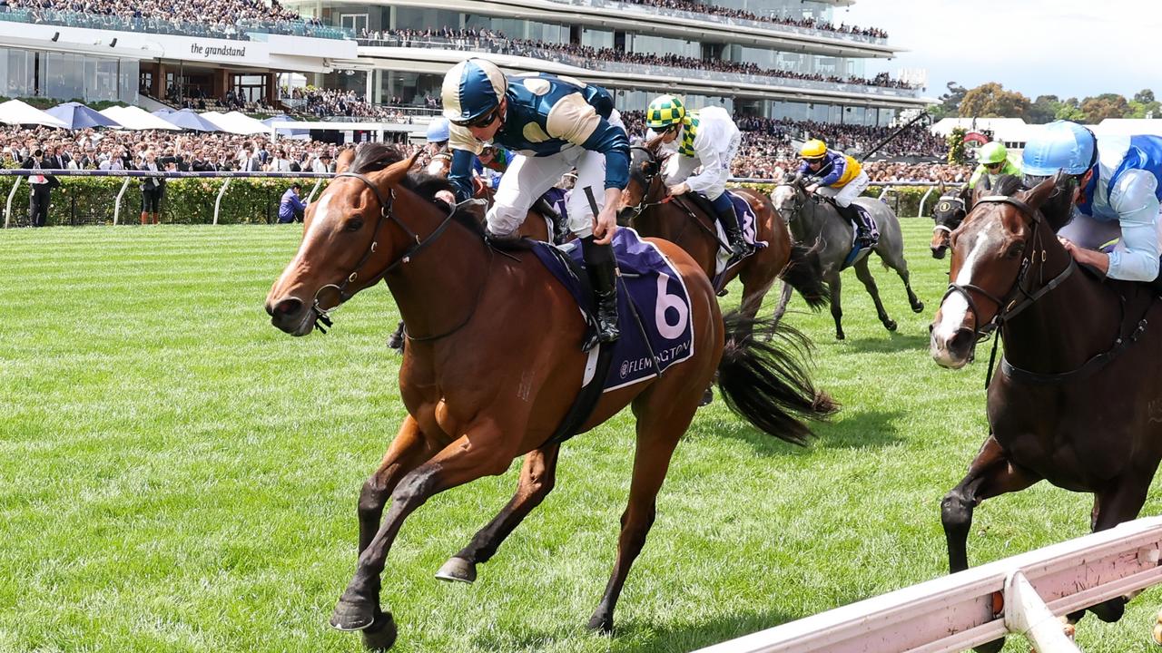 Melbourne Cup Week tips Five horses at juicy odds Daily Telegraph