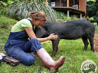 Sugarshine Farm founder Kelly Nelder and pig in care, Precious.