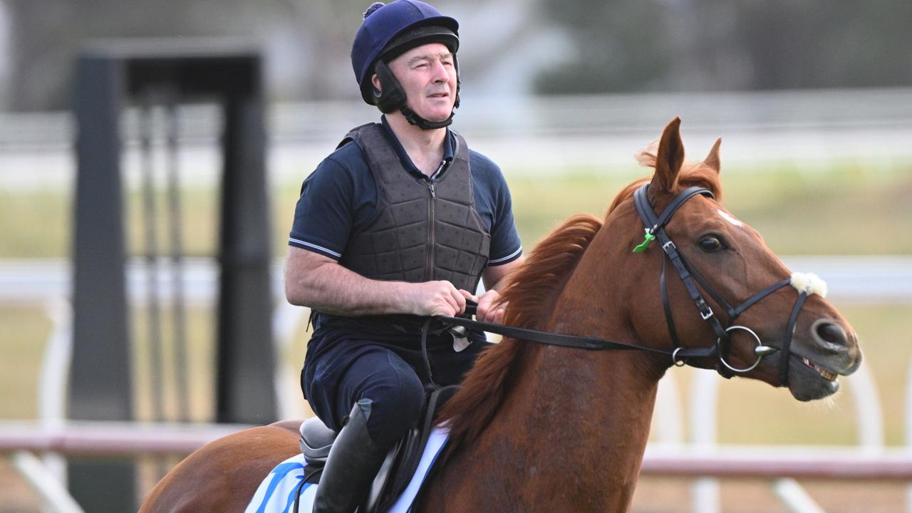 ‘Fitter’ Vauban back for second crack at Melbourne Cup