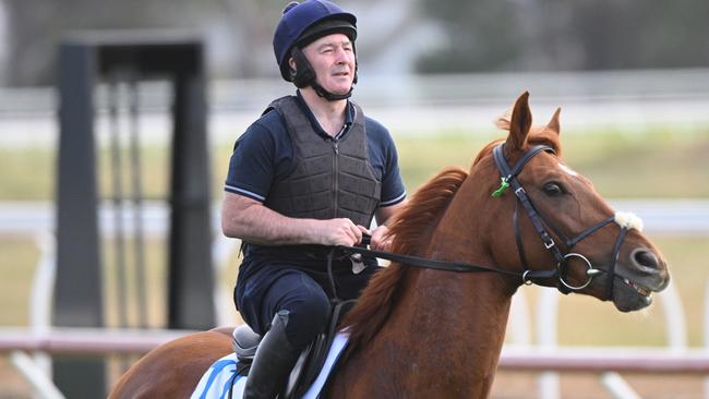 MELBOURNE, AUSTRALIA - OCTOBER 14: Dave Casey riding the  Willie Mullins trained Vauban during trackwork session at Werribee International Horse Centre on October 14, 2024 in Melbourne, Australia. (Photo by Vince Caligiuri/Getty Images)