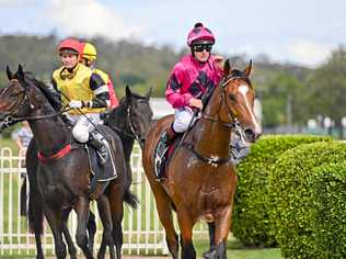 ON TRACK: Premiership-leading jockey Jeff Lloyd (right) adds Ruuca to his growing tally of Ipswich wins. Picture: Cordell Richardson