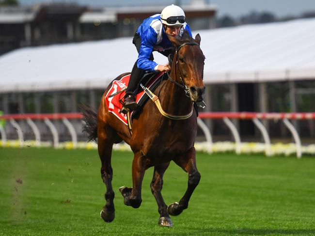 Hugh Bowman riding Winx galloping during Breakfast with the Best at Moonee Valley. Picture: Vince Caligiuri/Getty