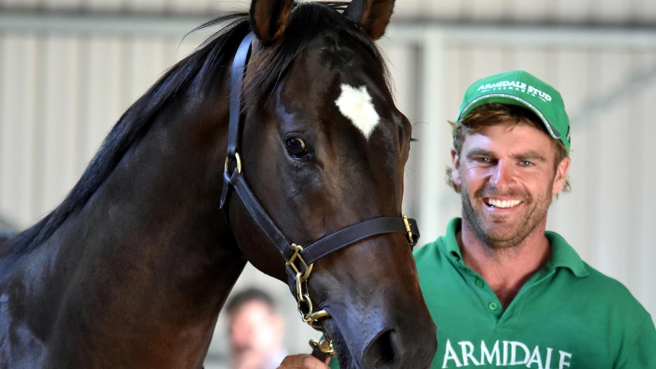 Tasmania Racing Magic Million yearling sales grosses new record of 4.