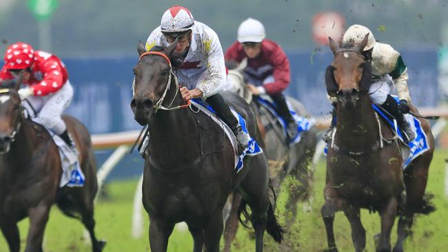 North Pacific oozes class and would be an ideal contender for the Goplden Rose. Picture: Getty Images