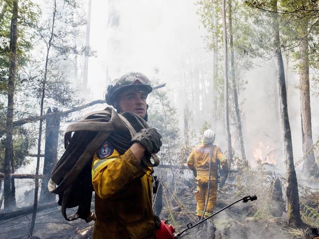 Tom Andrews, from Huonville volunteers, watches flames run up a tree in the Tahune area. Picture: WARREN FREY/TFS