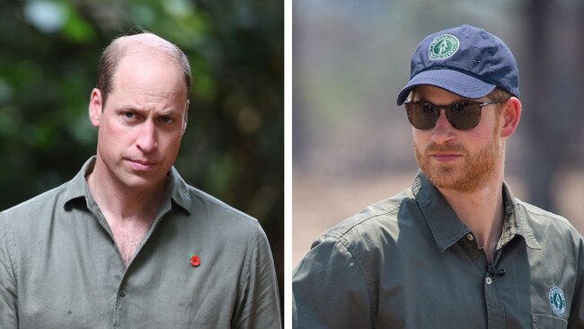 Prince Harry and William are at odds on the best methods to protect endangered species in Africa. Picture: Supplied