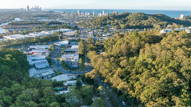 Mirikai has been hiding in plain sight at Burleigh Heads for over 50 years. Photo: supplied.