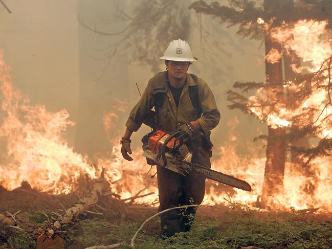 The chainsaw has become a necessary tool for firefighters in the field. Jimmie Fox clears fuel near homes in South Lake Tahoe, California. Picture: AP/John Burgess