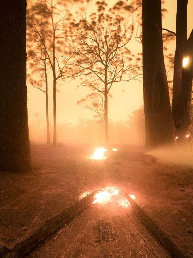 Overall Winner My Country Burns (detail) by Samuel Markham, New South Wales