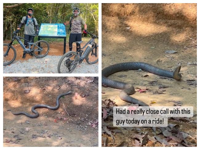 Joel Parkinson took footage of a huge brown snake while on a ride on the Gold Coast.