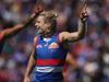 Dogs star goes bonkers in bloodbath