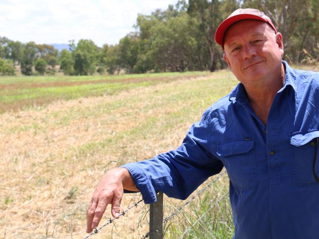 Greg Mirabella on his property near Wangaratta.