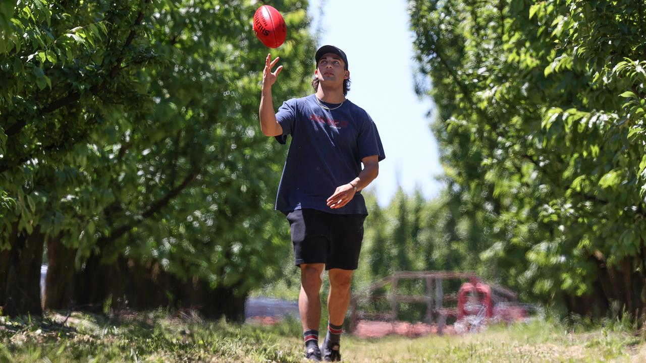 Josh Rachele at the family orchard in East Shepparton. Picture: Michael Klein