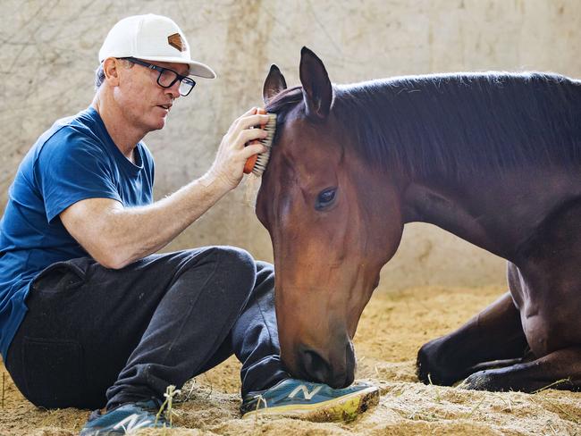 Special bond: Trainer David Vandyke with his champion gelding Alligator Blood, who has won 10 of his 12 races.