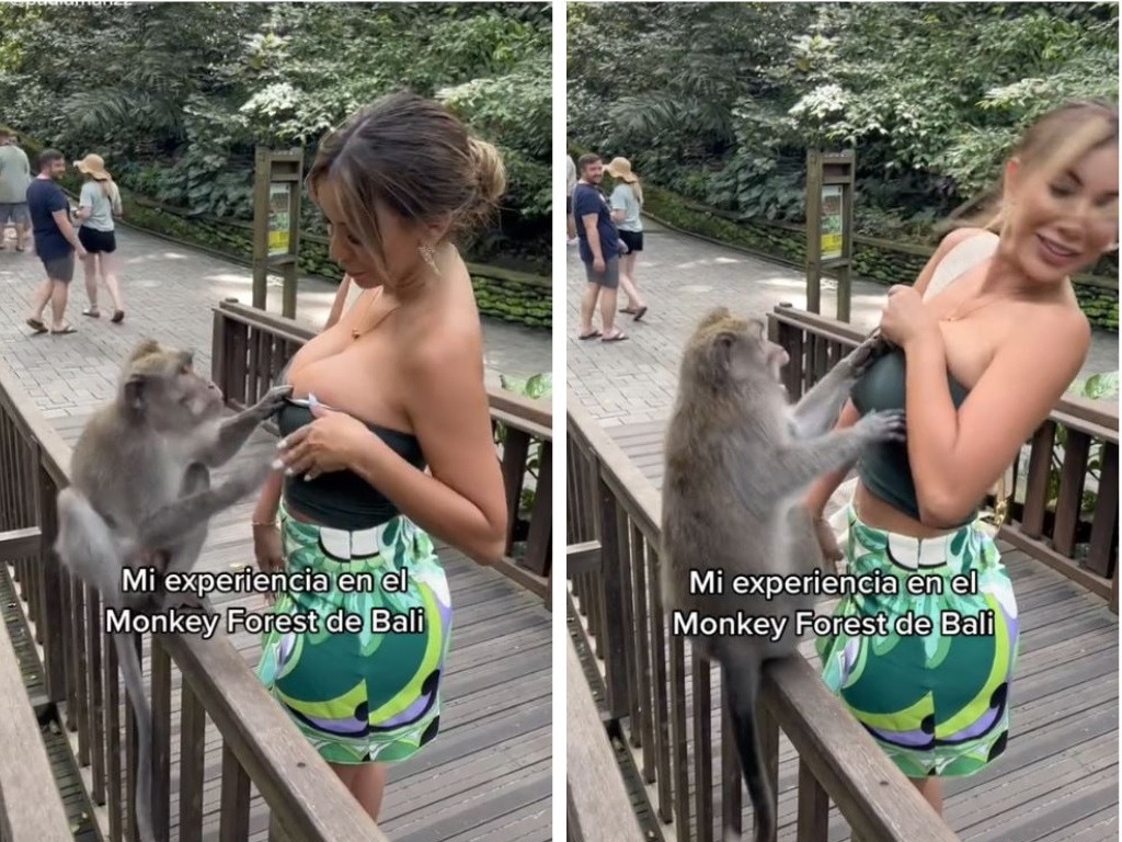 Xxx Paula Manzanal - Bali monkey tries to expose breasts of Former Miss Peru Paula Manzanal |  news.com.au â€” Australia's leading news site