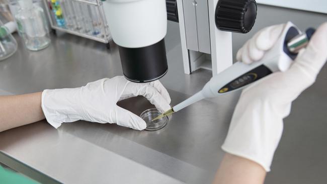 A new IVF reform has left at least 11 Queensland families in limbo.