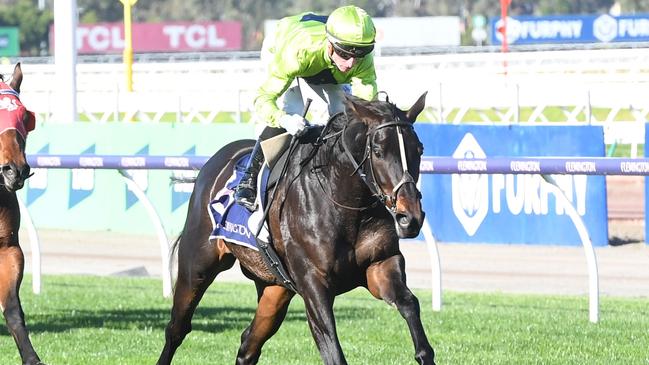 Navy King emerged as a Queensland Derby contender with his dominant win at Flemington earlier this month. Picture: Racing Photos via Getty Images.