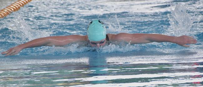 Beef City Swim Meet at 2nd World War Memorial Aquatic Centre, Rockhampton, on October 26, 2024. Photo: Pam McKay
