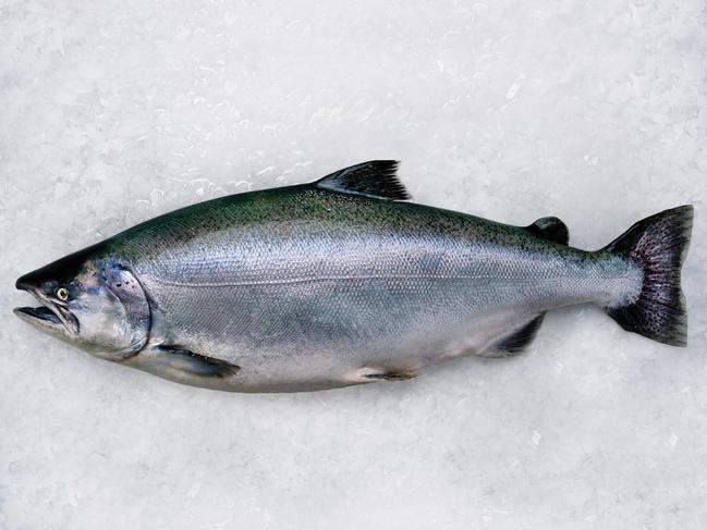 Chinook, for Mt Cook Alpine salmon, NZ For Daily Life Image supplied