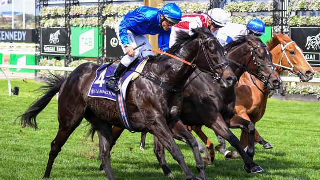 Kementari (blue) has been a firmer in the Sydney Stakes at Randwick. Picture: Getty Images