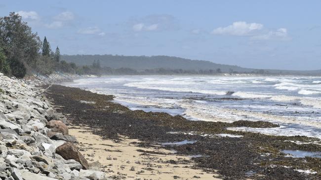 Masses of seaweed have washed up on Brooms Head beach thanks to rough seas and storm activity.