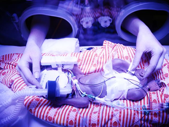 Mum Hope Walker holds 28 week premature baby Kingston Heenan pictured in RPA neonatal ICU. Picture: Sam Ruttyn