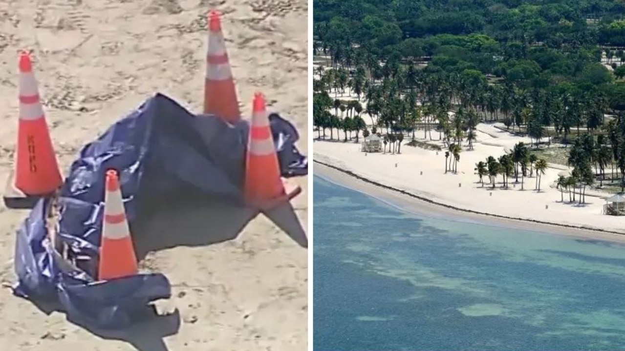 Severed human head discovered on popular beach