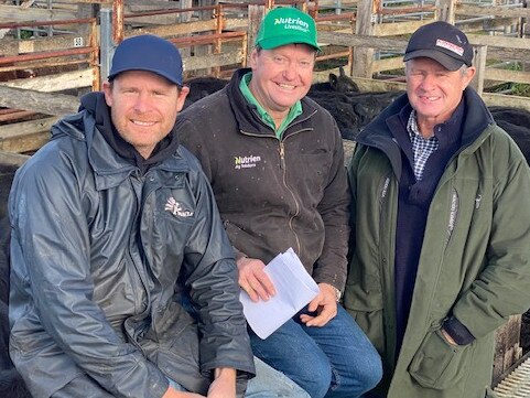 Casterton store cattle sale, June 24, 2021. Vendors Luke and Andrew Balkin with agent Nurtrien Casterton's Andrew Harrison (centre). Picture: Kate Dowler