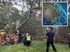 Tenth person dies after Christmas storms
