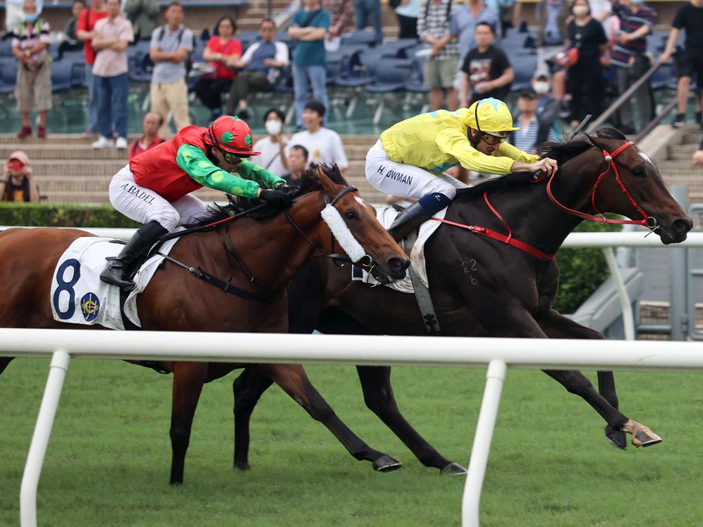 Invincible Sage chases Lucky Sweynesse. Picture: HKJC