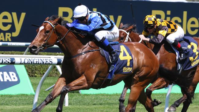 Progressive filly Arctic Glamour can bring up the hat-trick in the Callander-Presnell at Randwick on Saturday. Picture: Grant Guy