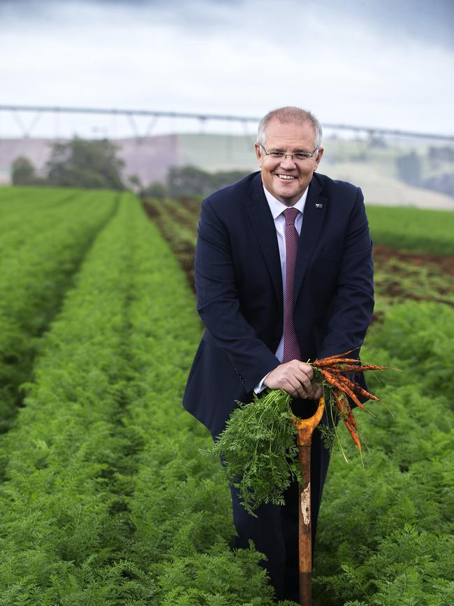 Prime Minister Scott Morrison in a field of carrots in Braddon at Forth, Tasmania. Picture: CHRIS KIDD