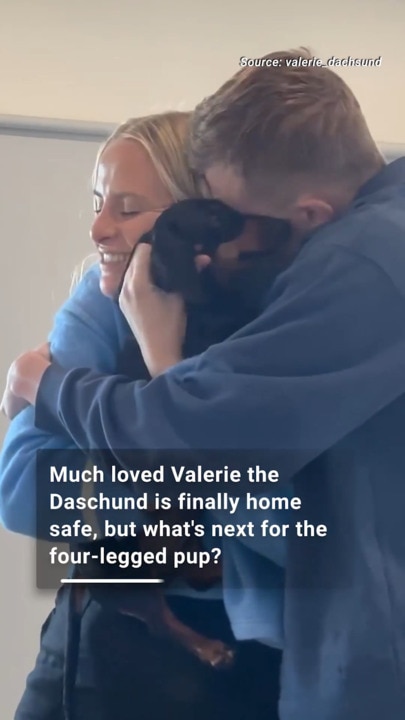 What is next for Valerie the Dachshund?