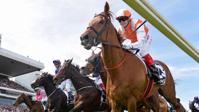 Vow And Declare, ridden by Craig Williams, won this year’s Melbourne Cup. Picture: Reg Ryan/Getty