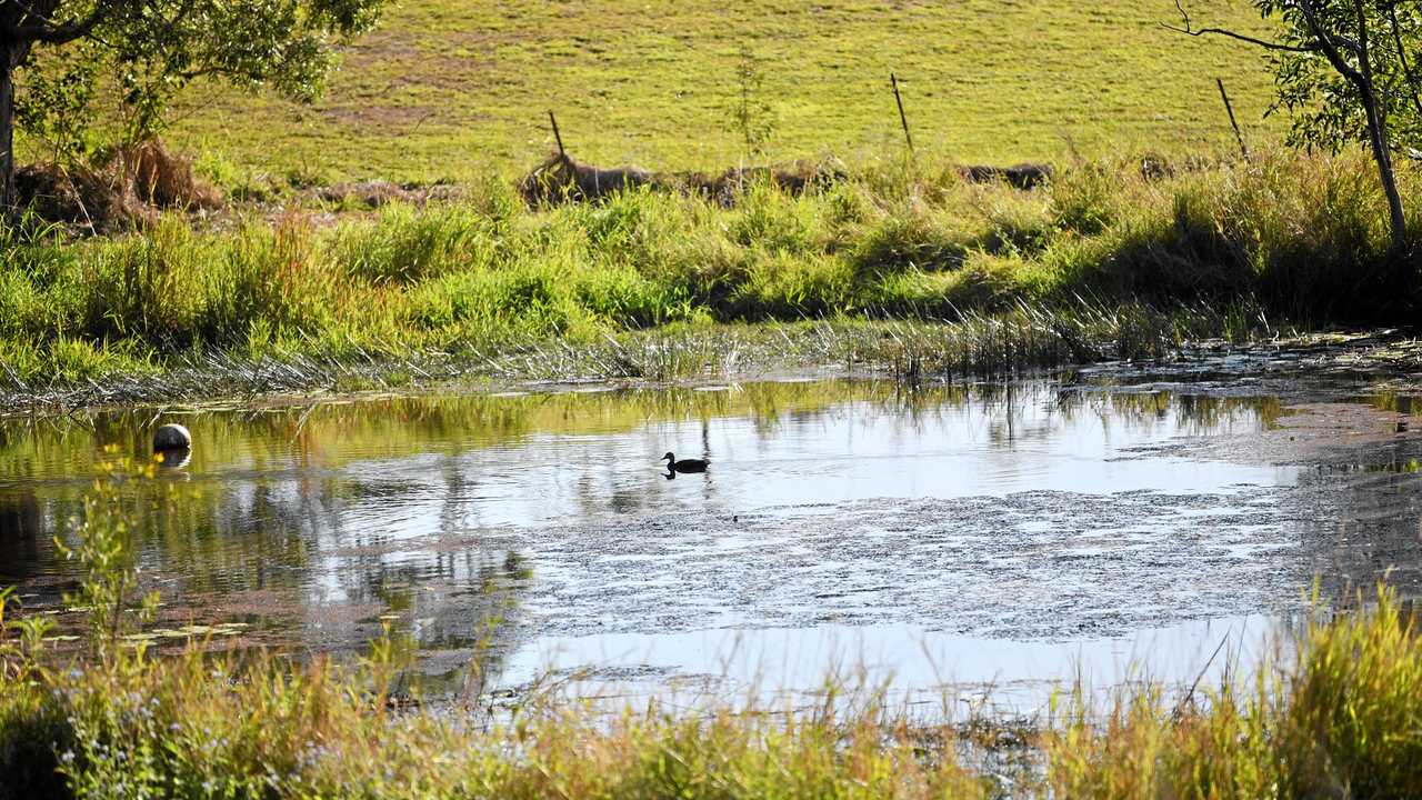 The scene at the property near Boreen Point where 3 year old Elenore Lindsay lost her life. Picture: John McCutcheon