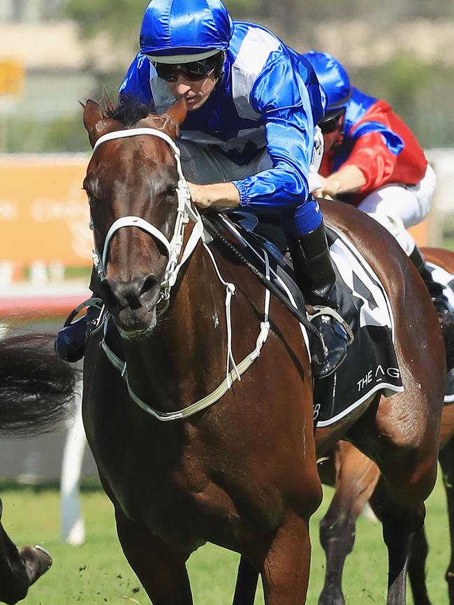 Winx wins this year’s George Ryder Stakes.