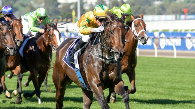 Estriella could be Group 1 bound following her dominant win in the Sunlight Classic at Flemington. Picture: Ross Holburt/Racing Photos via Getty Images