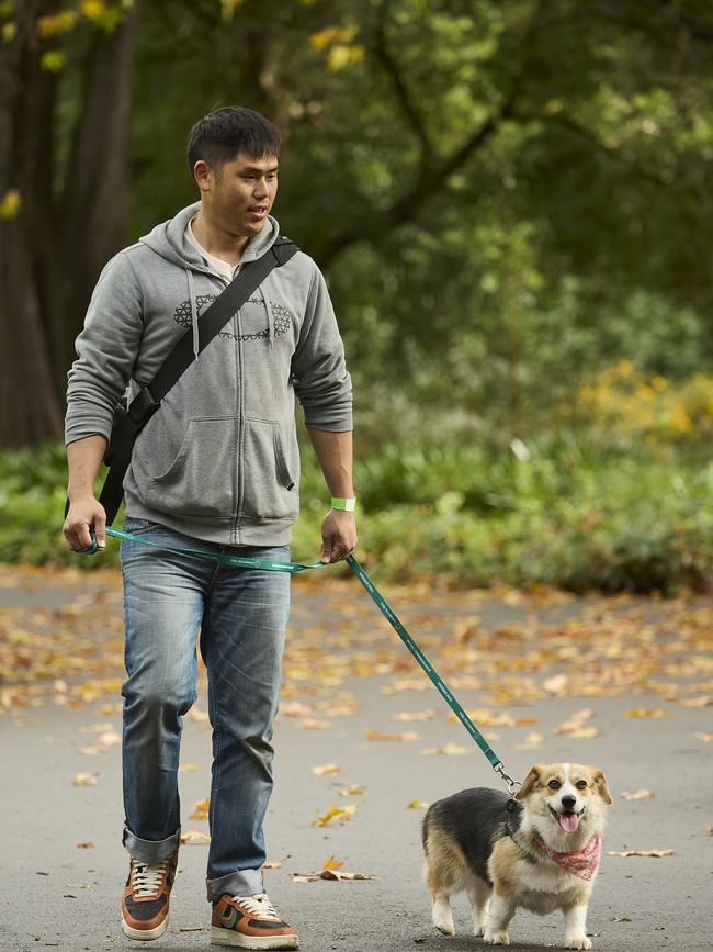 Million Paws Walk in the Adelaide Botanic Gardens, Sunday, May 28, 2023. Picture: Matt Loxton