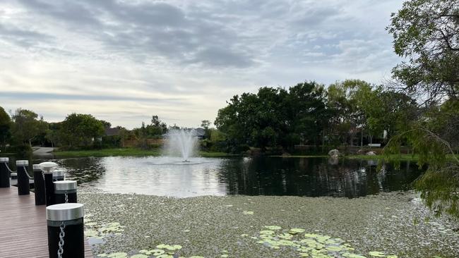 But the City says the lake is regularly maintained and looked after.