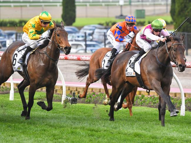 Mornington Glory ridden by Ethan Brown wins the Charter Keck Cramer Moir Stakes at Moonee Valley Racecourse on September 07, 2024 in Moonee Ponds, Australia. (Photo by Pat Scala/Racing Photos via Getty Images)