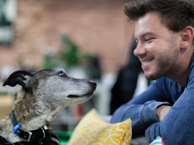 Good for morale: Vinomofo boss Justin Dry says having pets on site gives staff a boost.